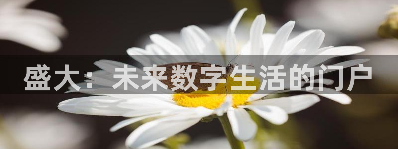 杏运娱乐注册资金多少：盛大：未来数字生活的门户