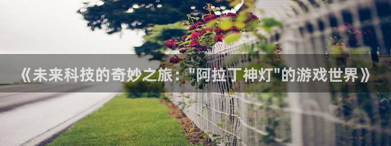杏运体育app下载安装：《未来科技的奇妙之旅：\
