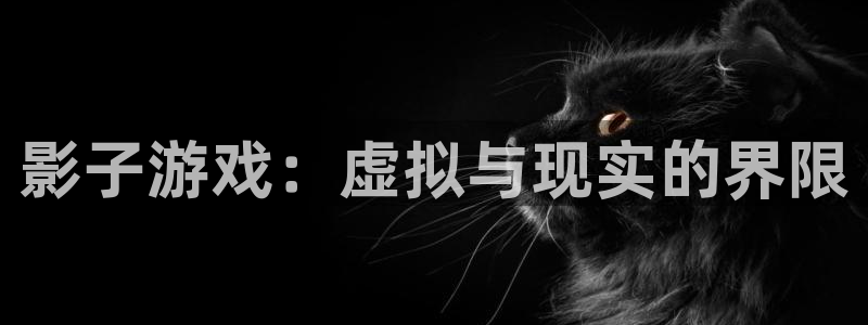 杏运娱乐注册资金多少：影子游戏：虚拟与现实的界限