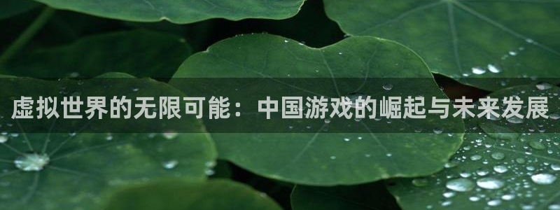 杏运连连：虚拟世界的无限可能：中国游戏的崛起与未来发展