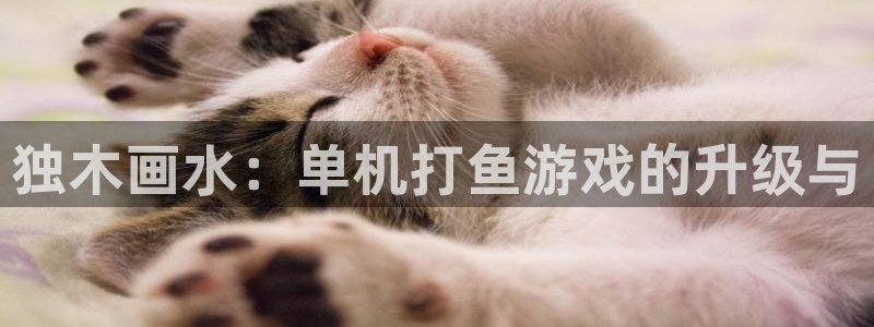 杏运娱乐注册资金多少：独木画水：单机打鱼游戏的升级与