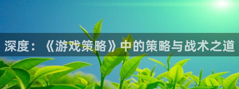 杏运注册平台：深度：《游戏策略》中的策略与战术之道