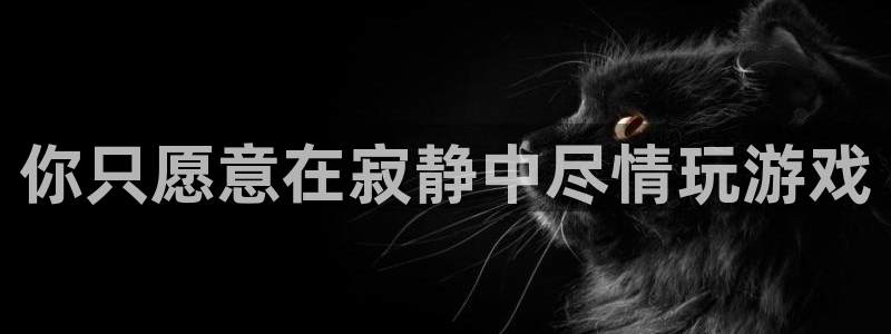 杏运体育app下载安装：你只愿意在寂静中尽情玩游戏